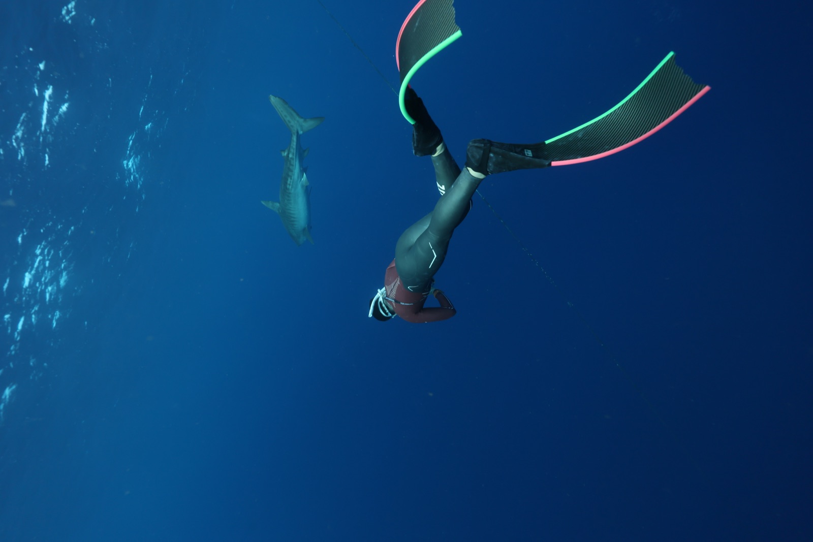 Freediving photo 8