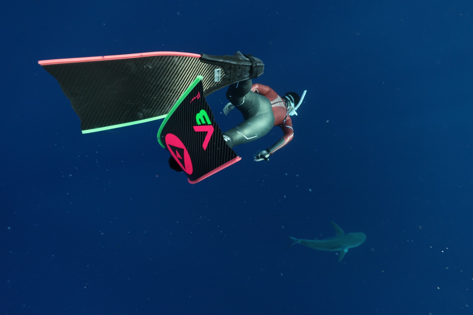 Freediving photo 10